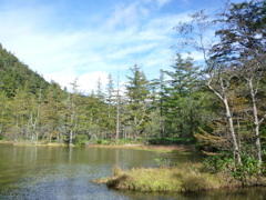 空気が美味い