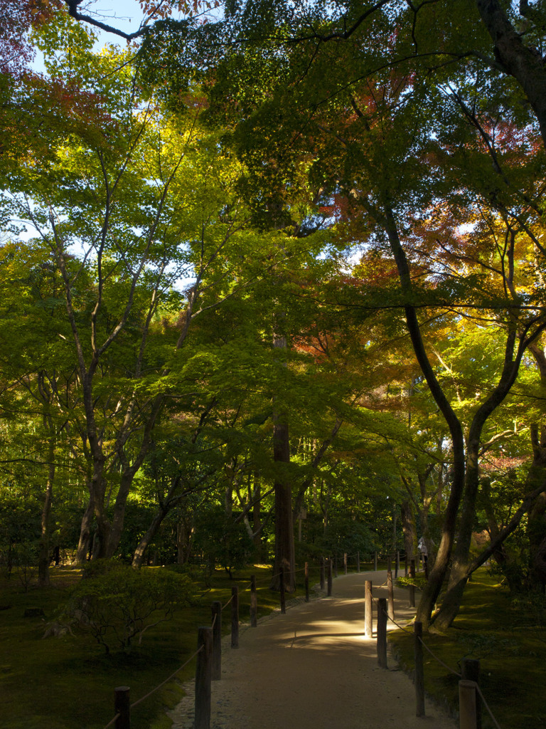 銀閣寺