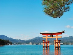 厳島神社大鳥居
