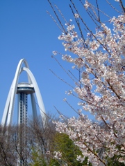 春の１３８タワー