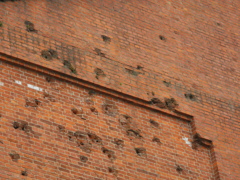 bullet　hole