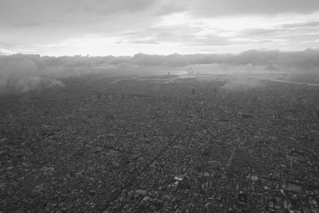 大阪の街（空から）モノクロ