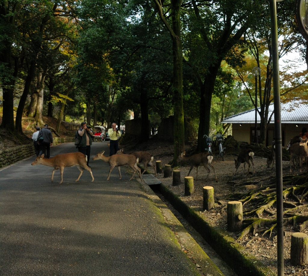 ちょっと通りますよ・・・