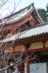 もうすぐ春