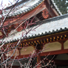 もうすぐ春