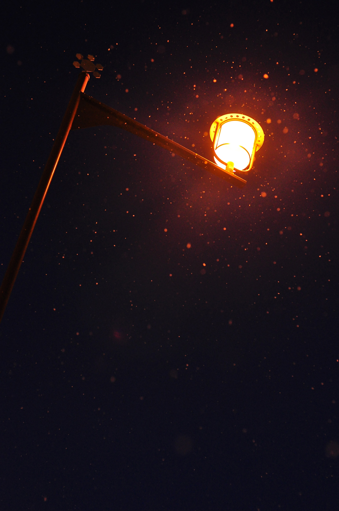 夜の粉雪