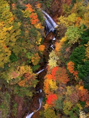 吾妻紅葉