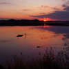 夕刻