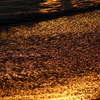 砂金