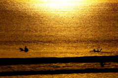 Golden Surfer