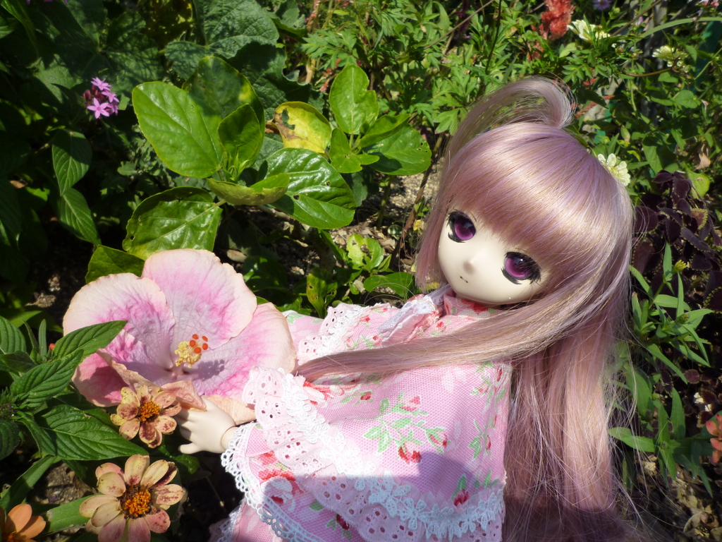 大きいね☆