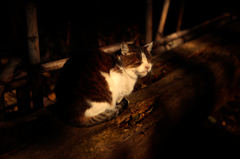 カーテン閉めてよ