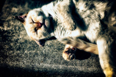 こんなはずでは・・・