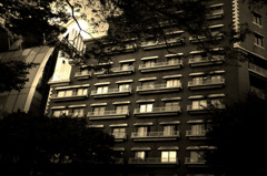 茂みの中の建物