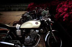 バイクにのって