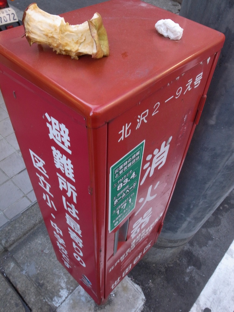 丸かじり！ワイルド〜