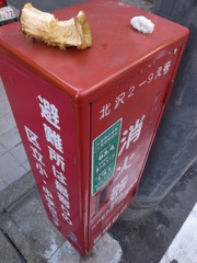 丸かじり！ワイルド〜