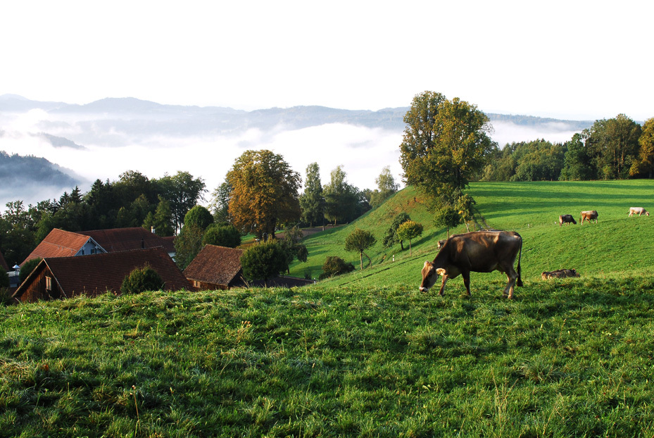スイスの風景。