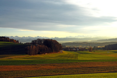近所の風景　１
