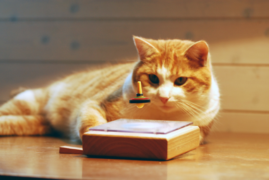 UFOってこれなの〜〜？