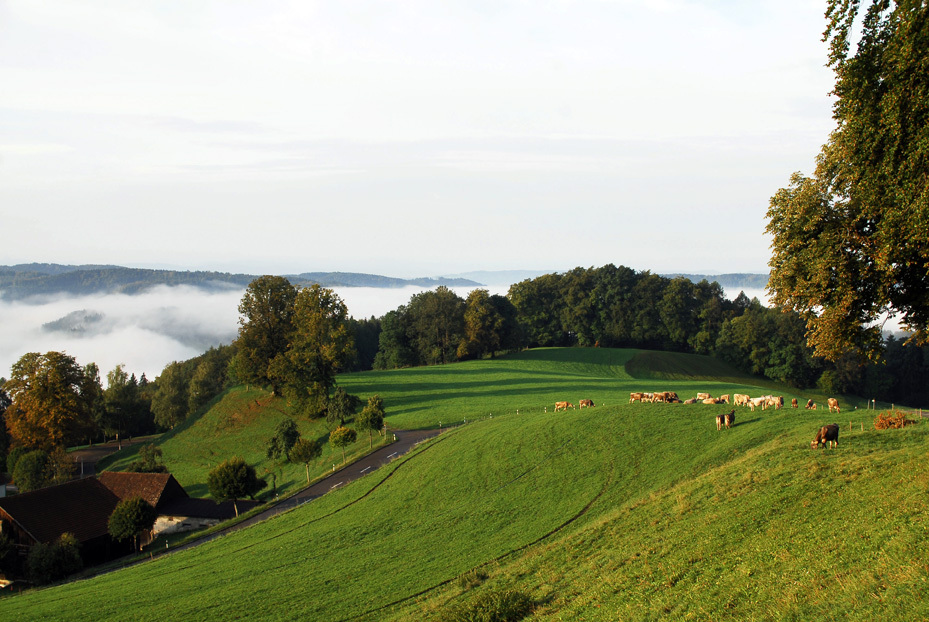 スイスの風景２