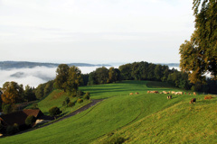 スイスの風景２
