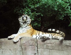 う〜ン、良い天気だ〜！