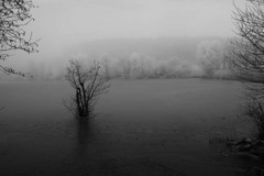 ひとりぽっち...