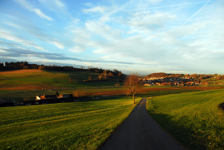 近所の風景　３