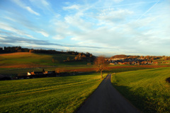 近所の風景　３