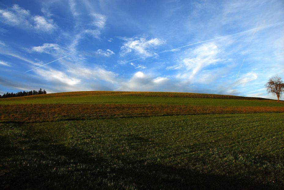 近所の風景　２