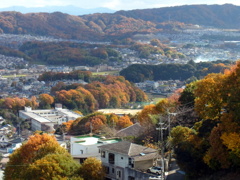 生駒の紅葉（菜畑～一分方面）