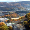 生駒の紅葉（菜畑～一分方面）