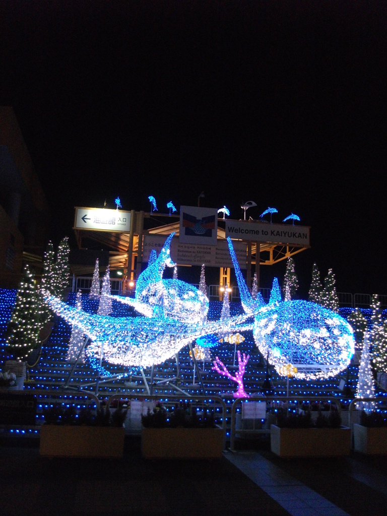 海のイルミ