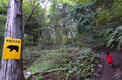 怖いもの知らず