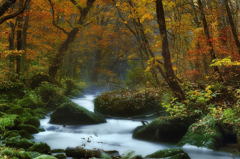 autumn stream4