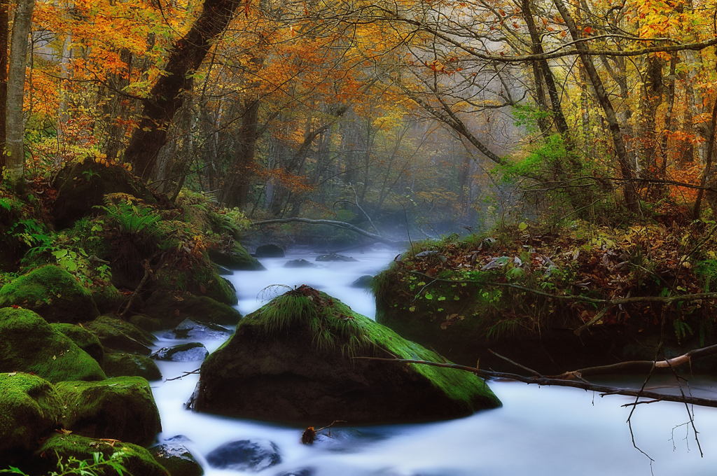 autumn stream3