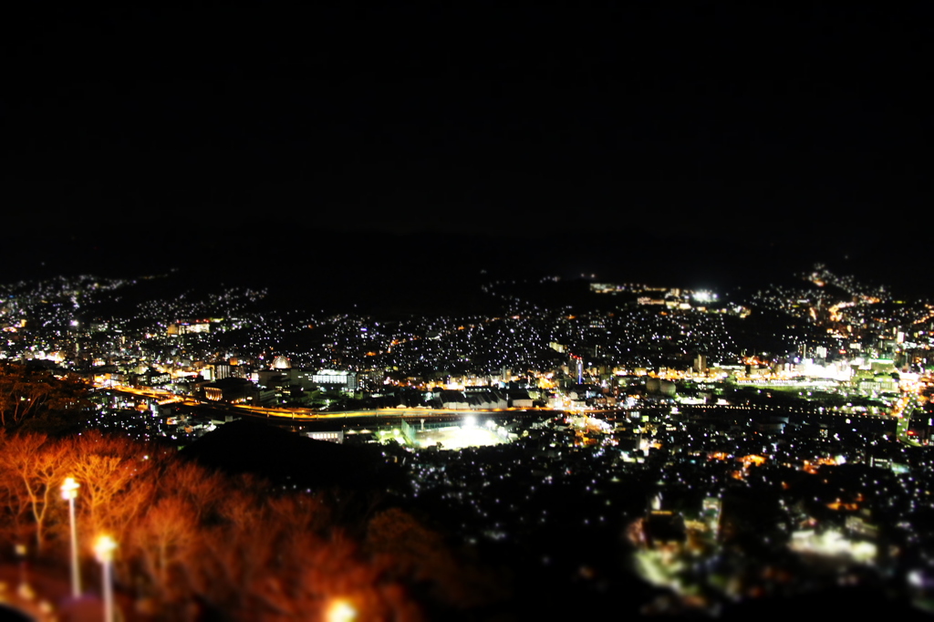 山から望む