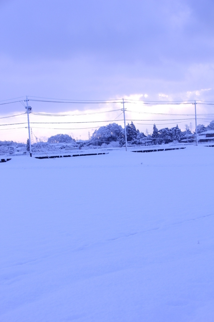 雪の地