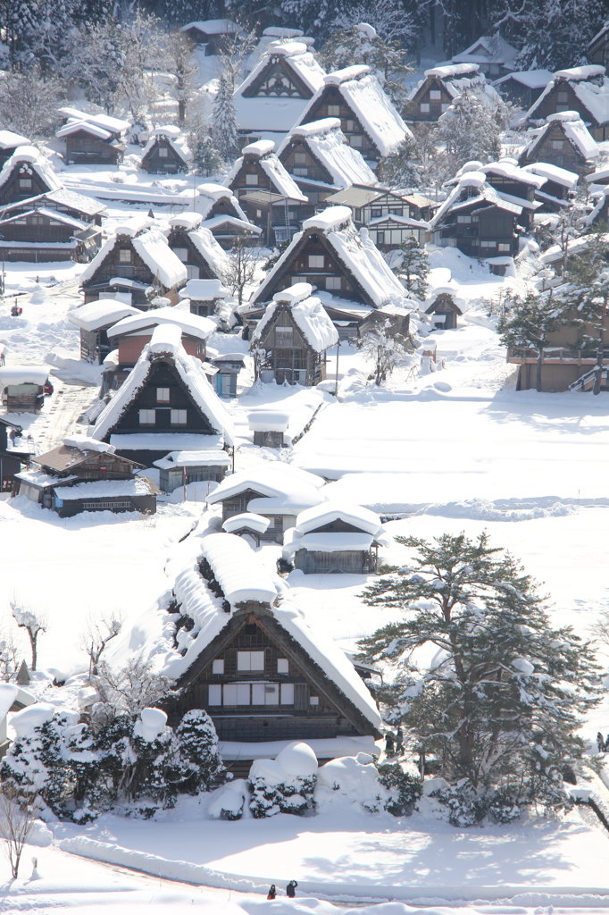 山から望む合掌造り