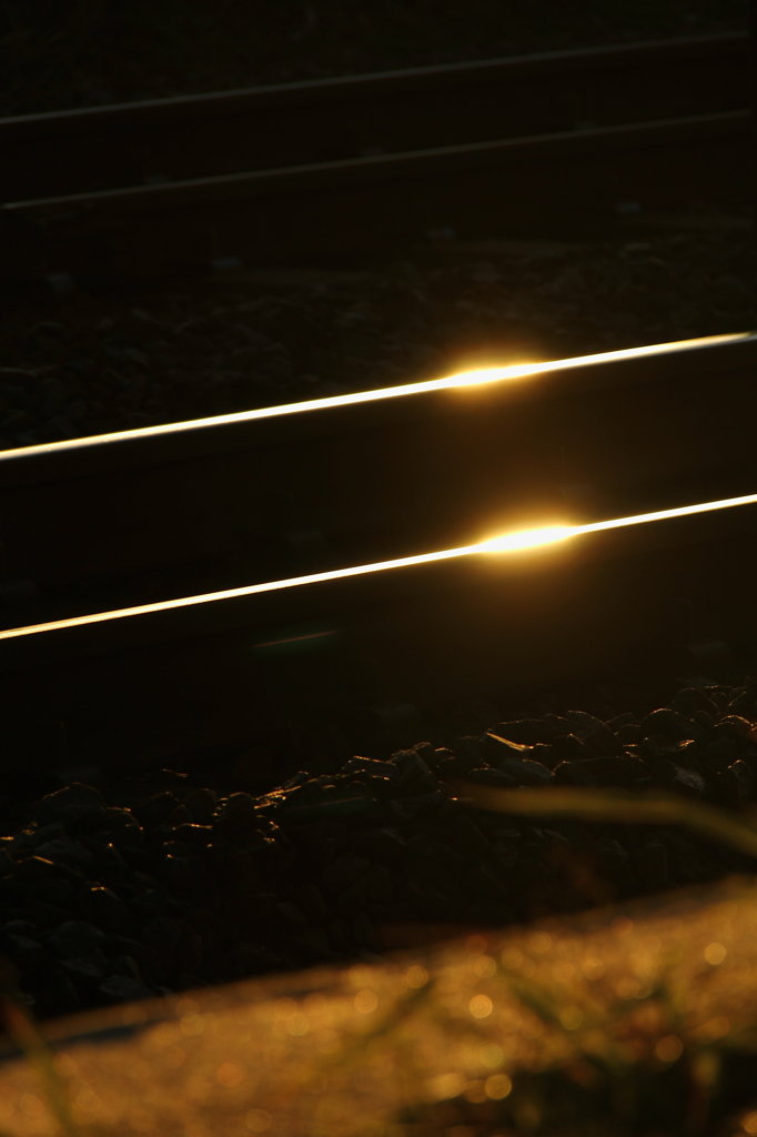 光路