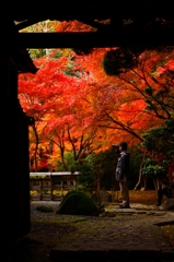 晩秋の色
