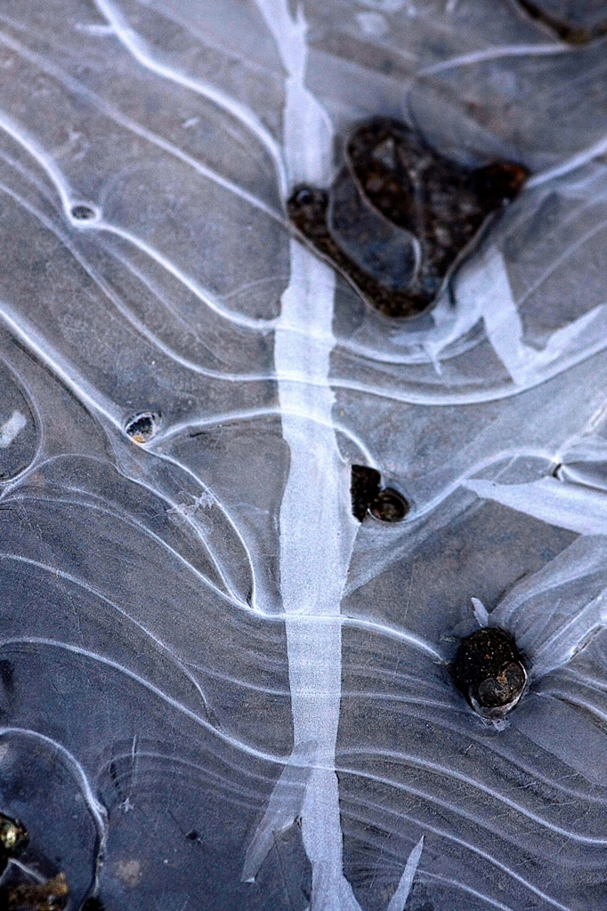 氷が作る絵画です