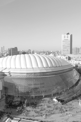 TOKYO DOME