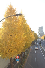 ityonamiki