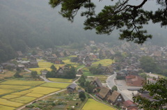 白川郷1