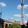 スカイツリー建築途中