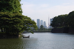 遠くに東京タワーが