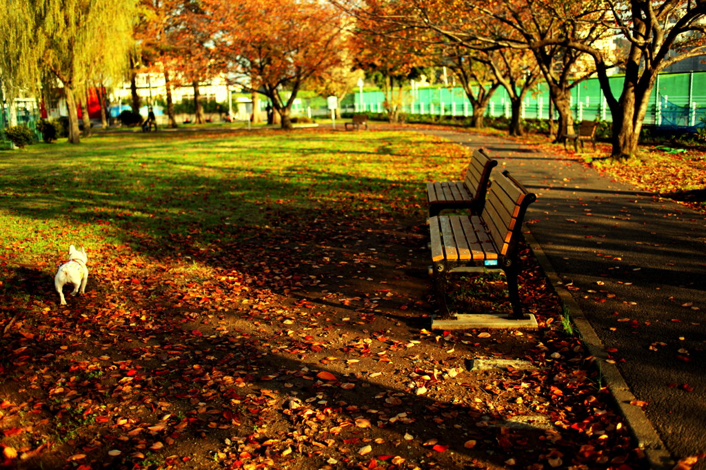 佐江戸公園