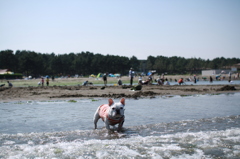 海の公園